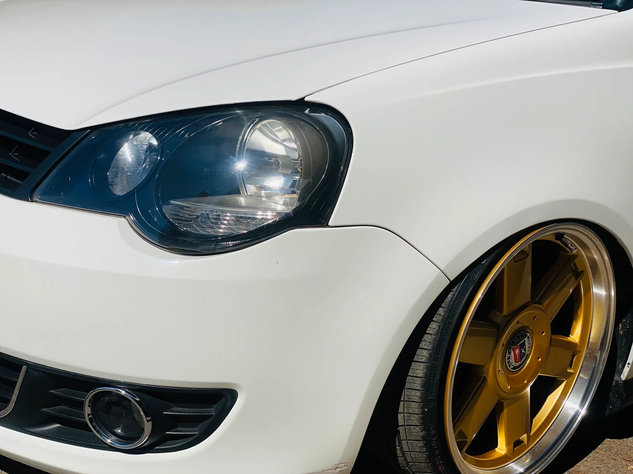 Polo 9N/ VIVO EYELIDS - Image 3